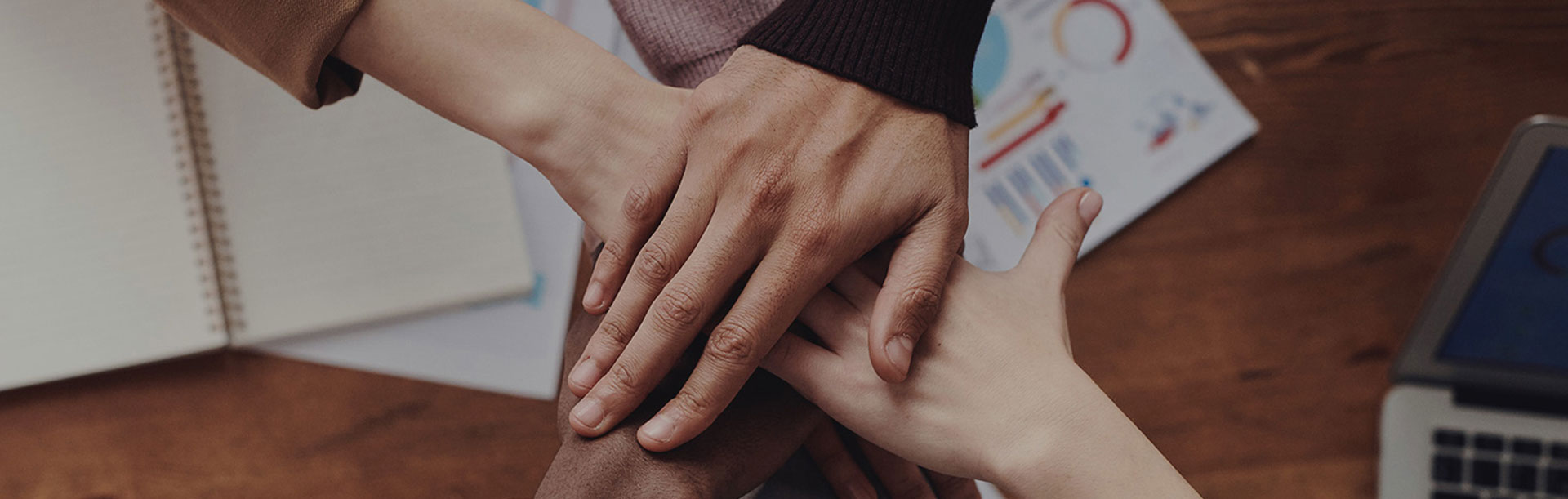 �������ǲ�(�й���)�ٷ���վ